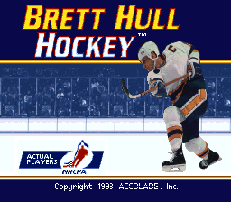 Brett Hull Hockey