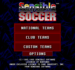 Sensible Soccer: International Edition