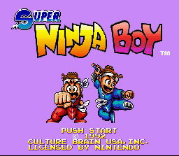Super Ninja Boy