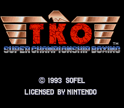 TKO Super Championship Boxing